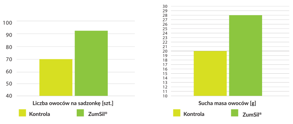 Wyniki badań stosowania biostymulatora ZumSil (kwasu ortokrzemowego) na plantacji truskawek. Wyk. Perma-Guard Agro