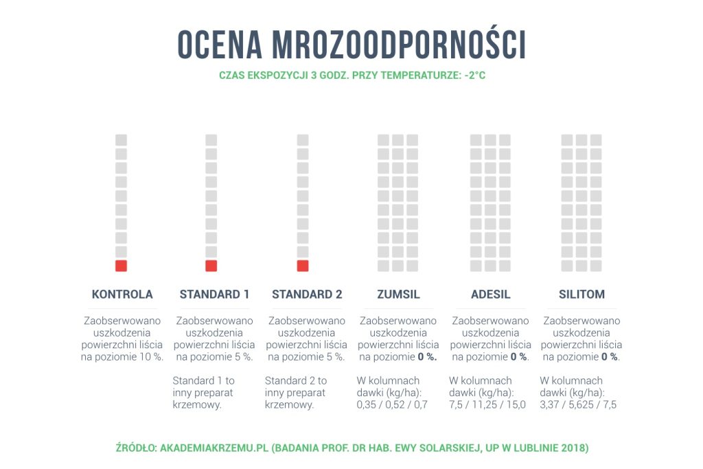 Ochrona roślin przed mrozem – stosowanie krzemu organicznego. Fot. akademiakrzemu.pl
