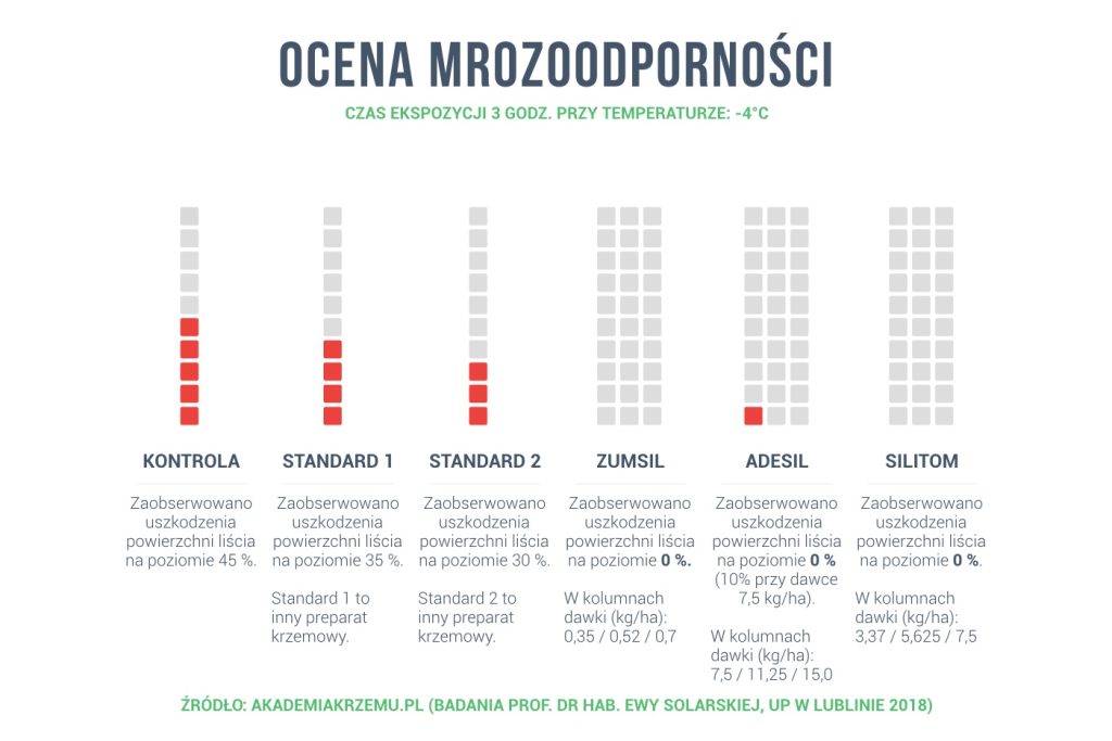 Ochrona roślin przed mrozem – stosowanie krzemu organicznego. Fot. akademiakrzemu.pl