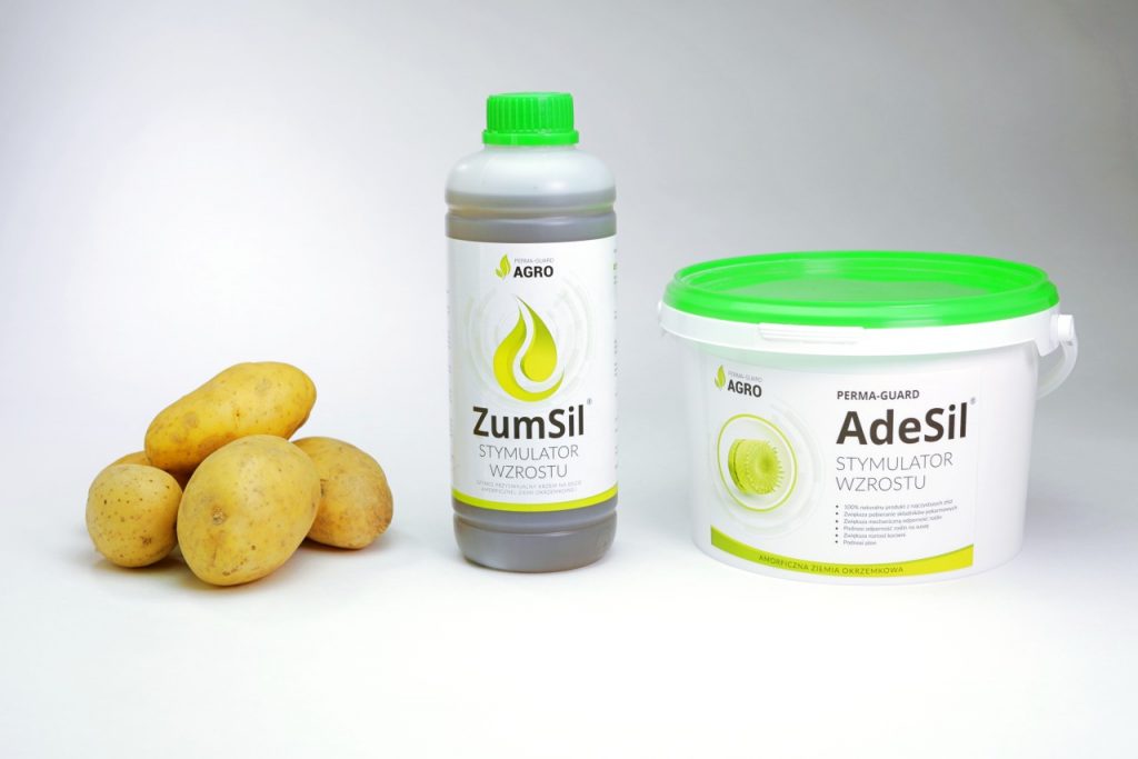 W doświadczeniach na temat nawożenia ziemniaka krzemem wykorzystano preparaty ZumSil i AdeSil.